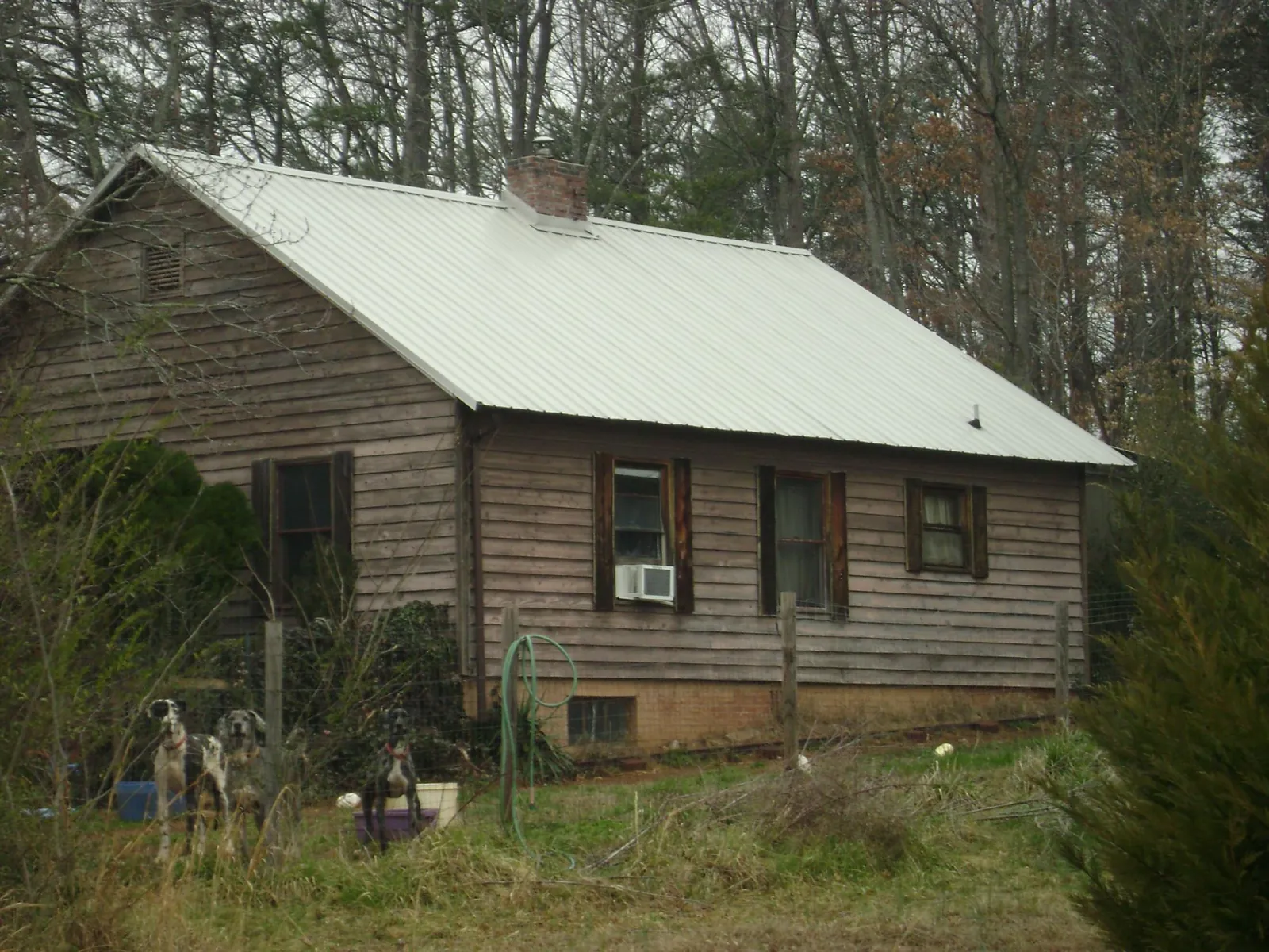 White metal roof on an old wood sided farmhouse, from a Asphalt Shingle Roof Repair job in Mountain City